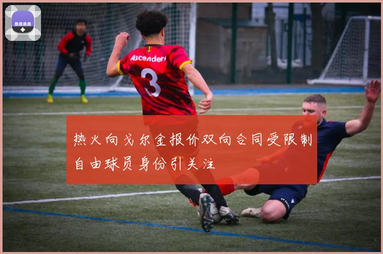 热火向戈尔金报价双向合同受限制自由球员身份引关注