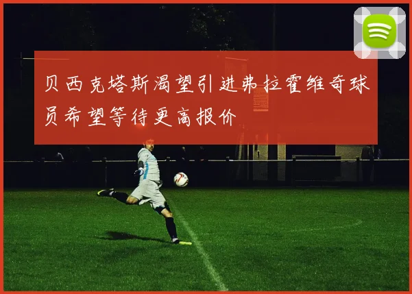 贝西克塔斯渴望引进弗拉霍维奇球员希望等待更高报价