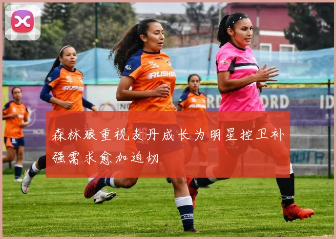 森林狼重视麦丹成长为明星控卫补强需求愈加迫切