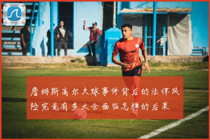 詹姆斯高尔夫球事件背后的法律风险究竟有多大会面临怎样的后果